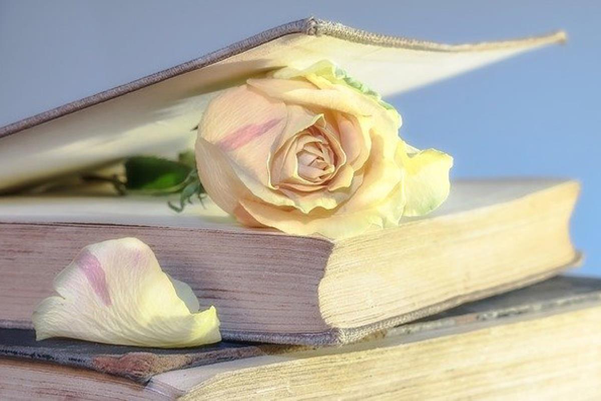 La autora Carmen Martínez Seco presenta su novela en Majadahonda el 4 de diciembre